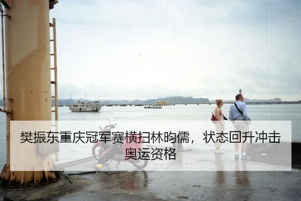 樊振东重庆冠军赛横扫林昀儒，状态回升冲击奥运资格